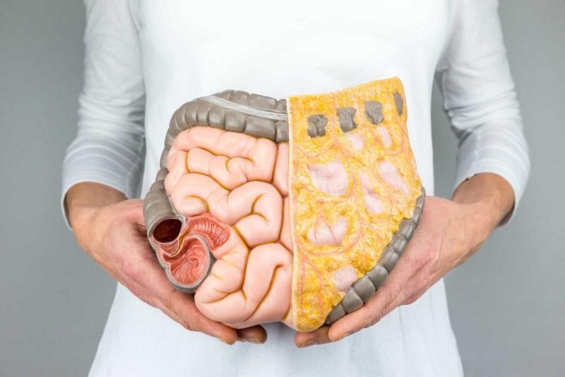 برای افزایش باکتری های مفید روده چه کار کنیم؟