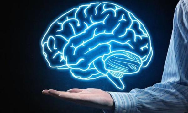 چگونگی ترمیم مغز پس از سکته مغزی